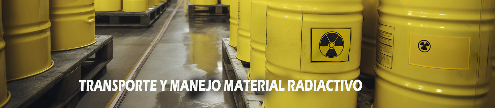 servicios de adiestramiento y capacitación en protección radiológica para las plantas nucleares e industriales convencionales